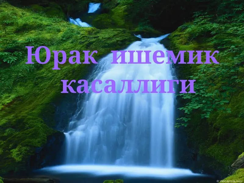 Юрак ишемик касаллиги (Ю.И.К)