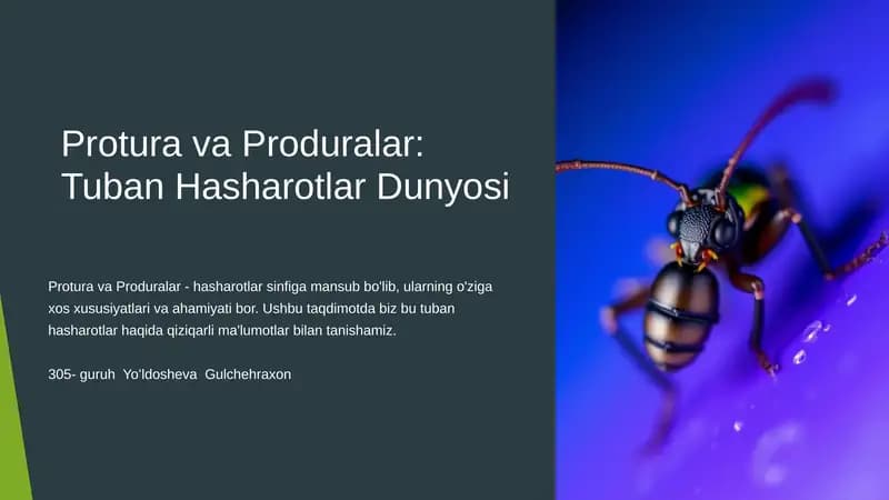 Protura va Produralar