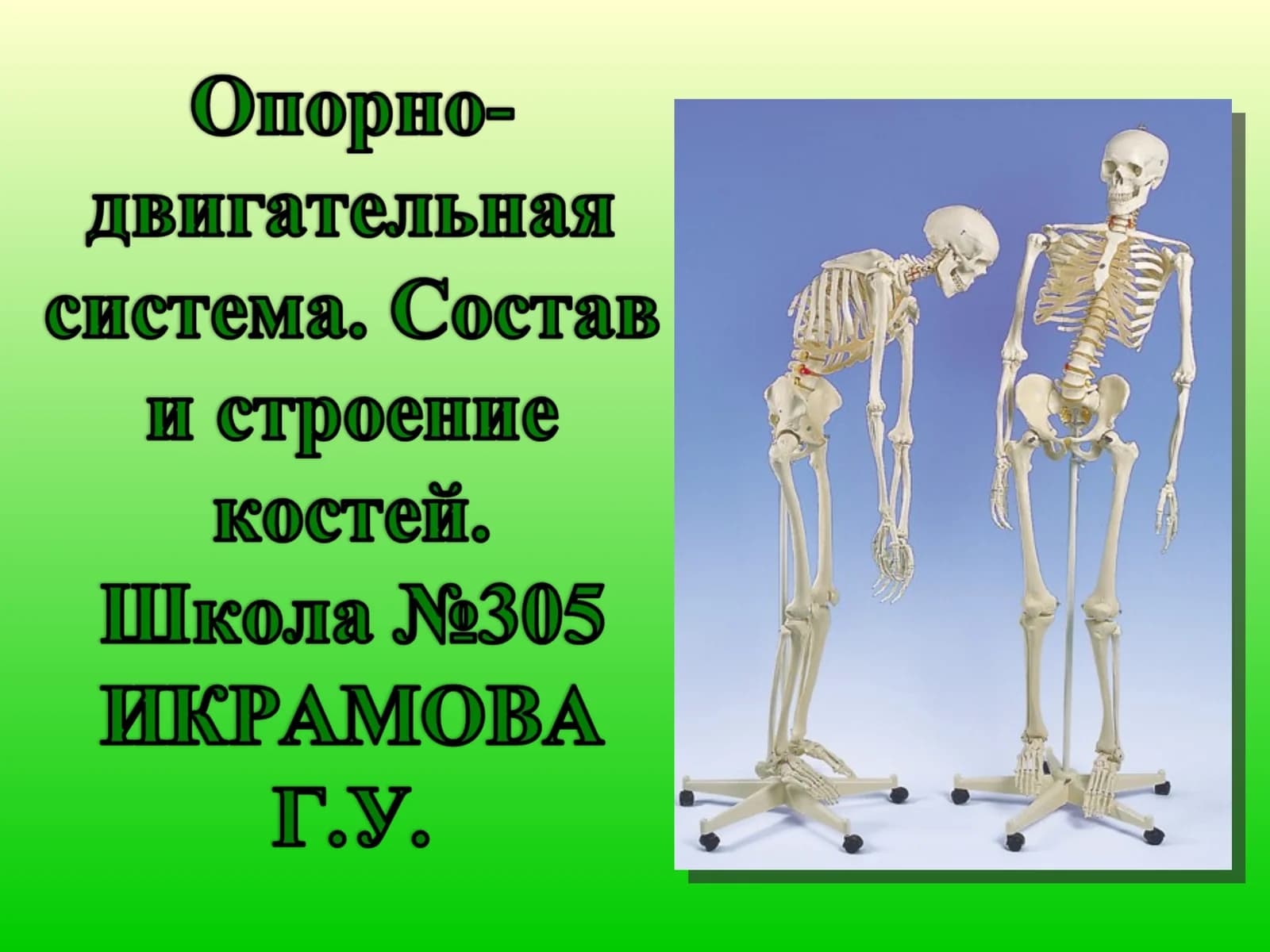 Двигательная