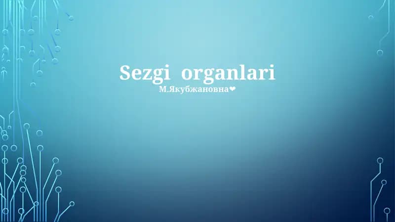 Sezgi organlari