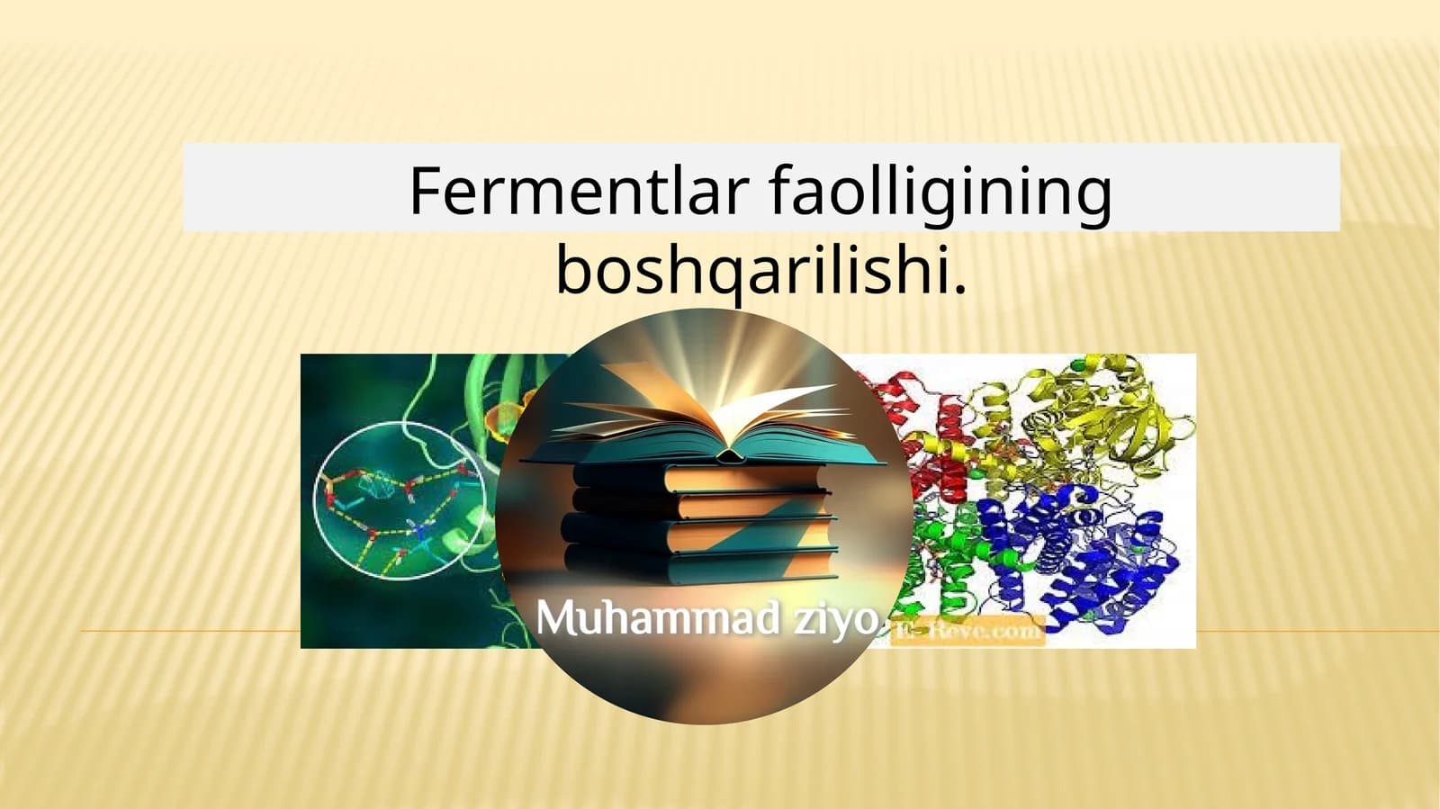 Fermentlar faolligining boshqarilishi