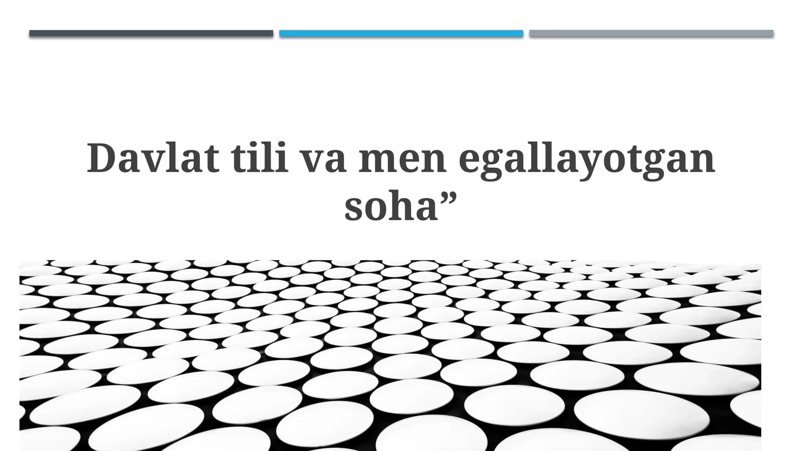 Davlat tili asoslari