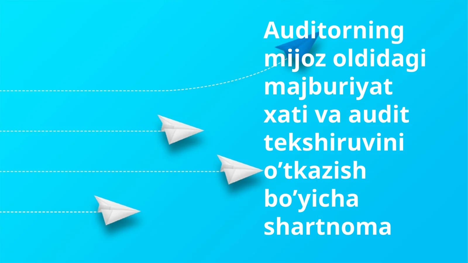Auditorlik Tekshiruvi va Shartnomalari