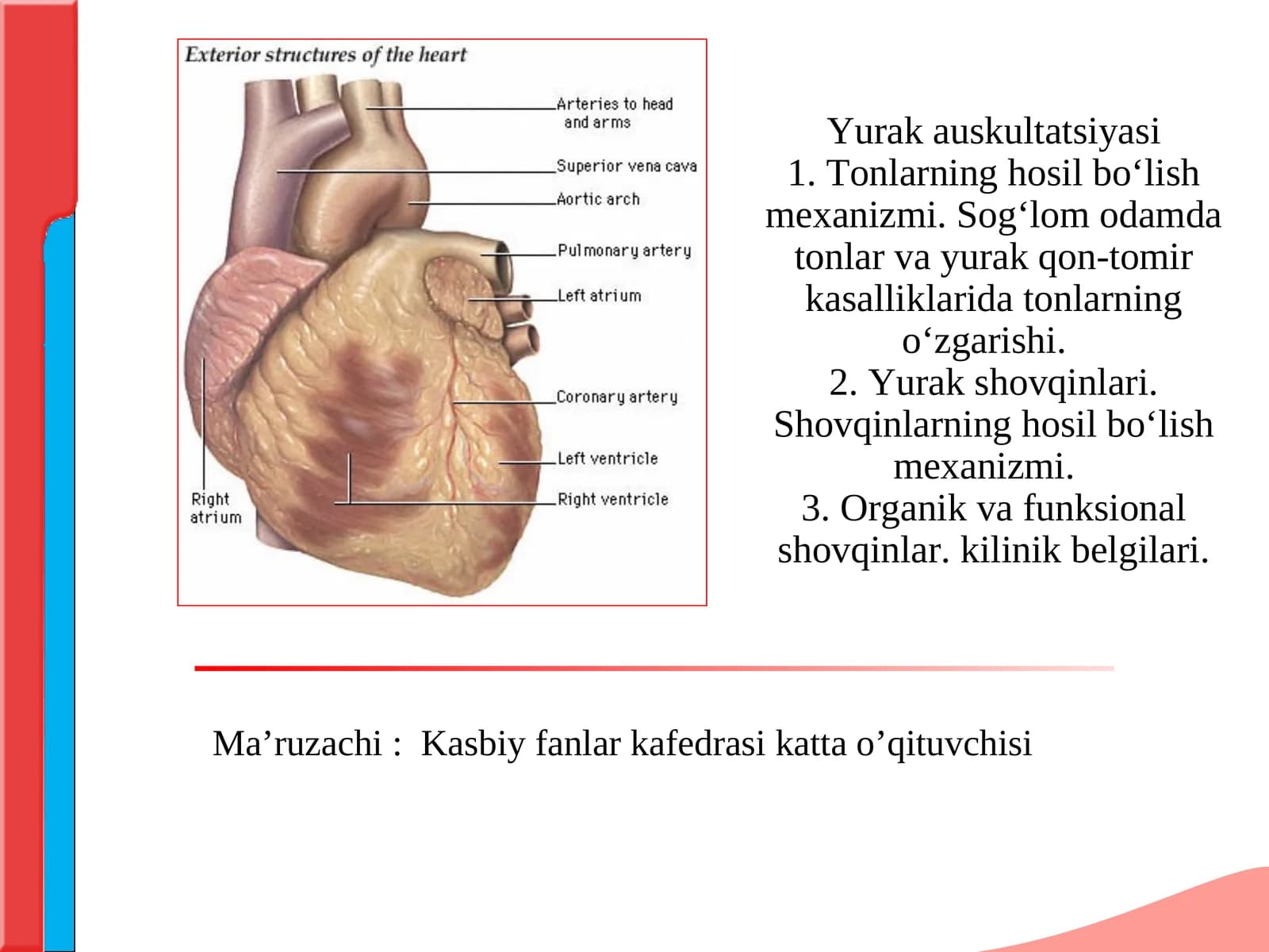 Yurak auskultatsiyasi