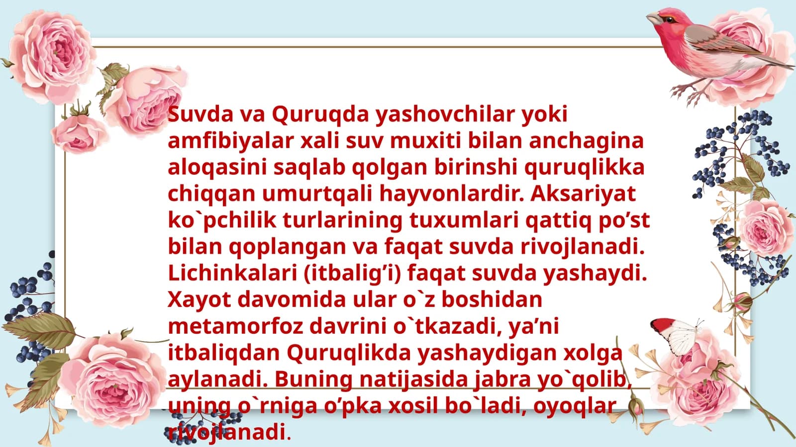 Umurtqali Hayvonlar