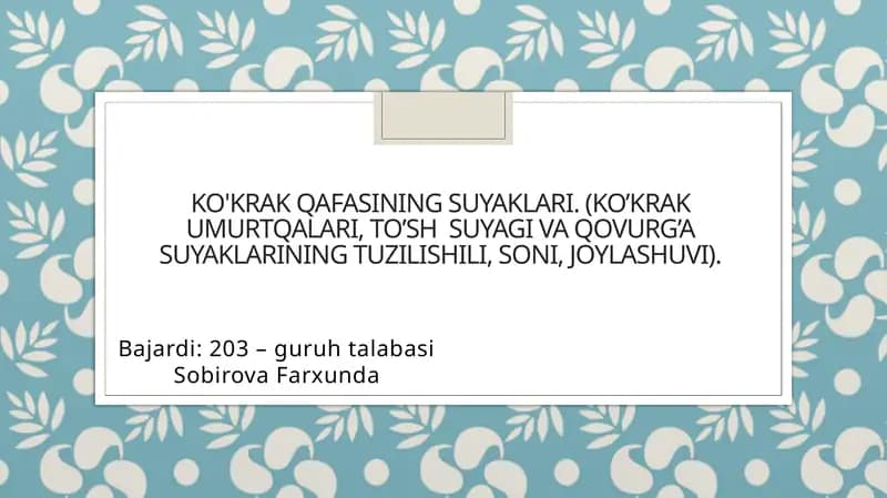 Ko'krak qafasinings uyaklari