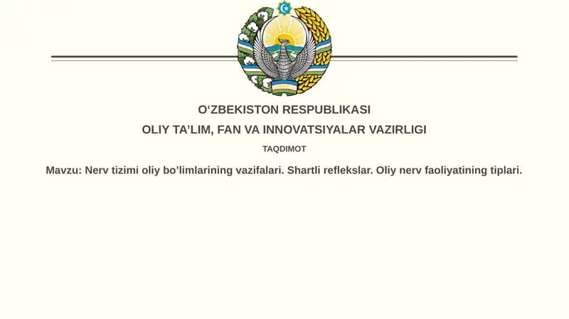 Nerv sistemasi funktsiyalari