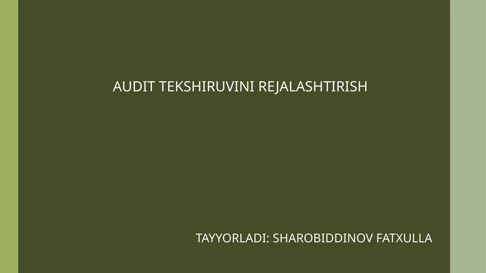 Audit Tekshiruvi Rejalashtirish