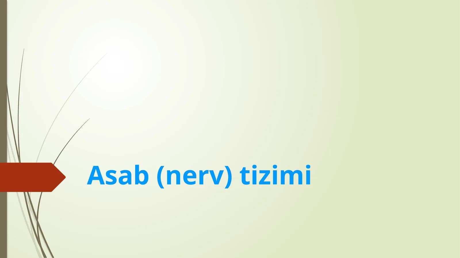Asab(nerv)tizimi