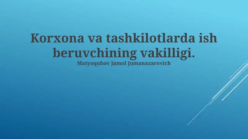 Ish beruvchining vakilligi
