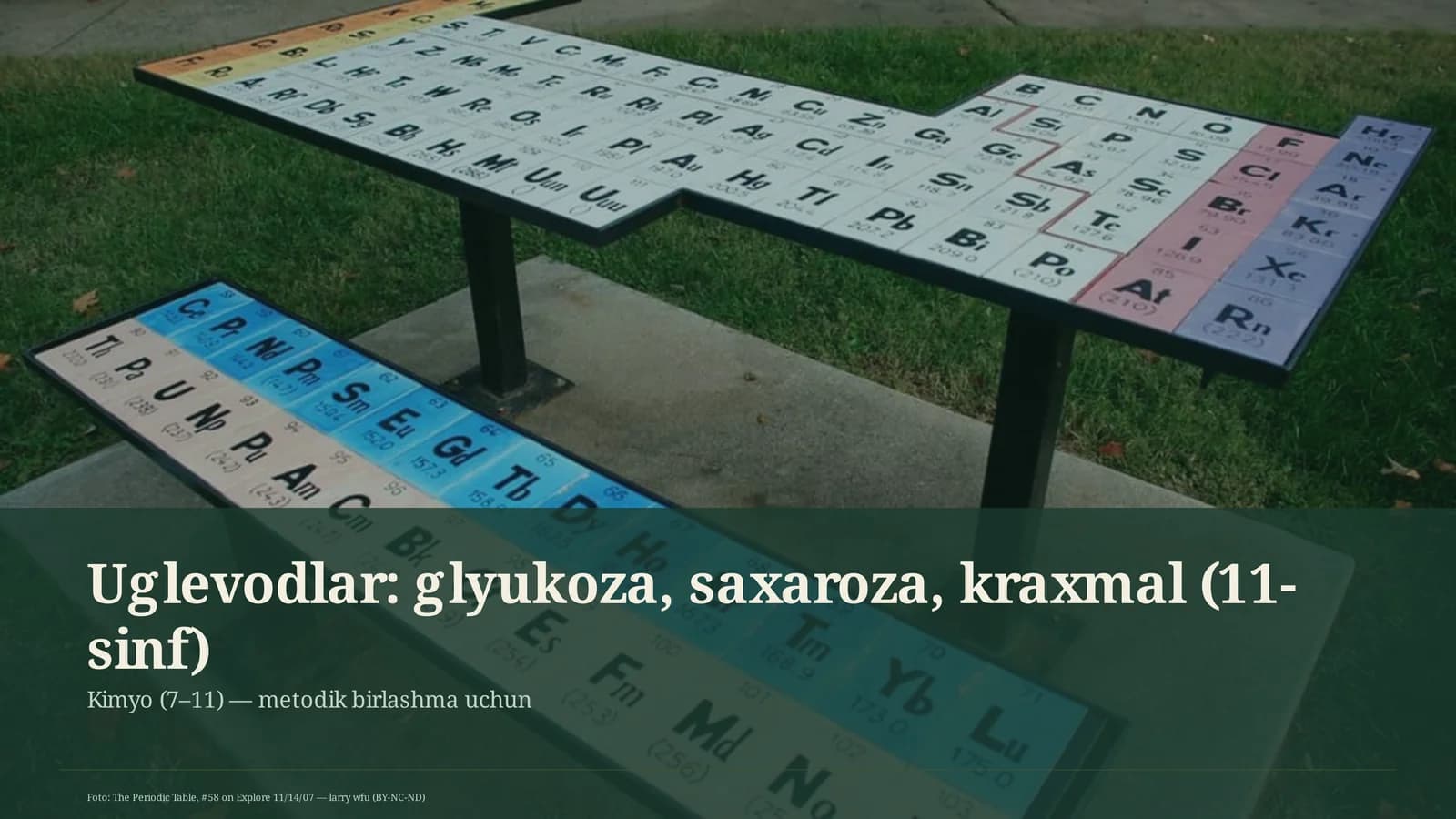 Uglevodlar: glyukoza, saxaroza, kraxmal (11-sinf)