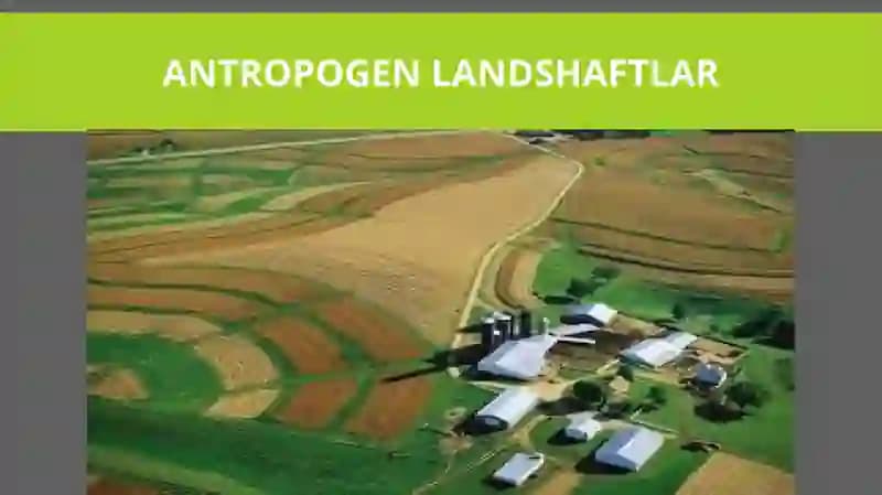 ANTROPOGEN LANDSHAFTLAR