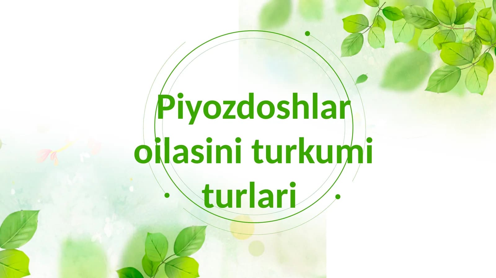 Piyozdoshlar oilasini turkum turlari