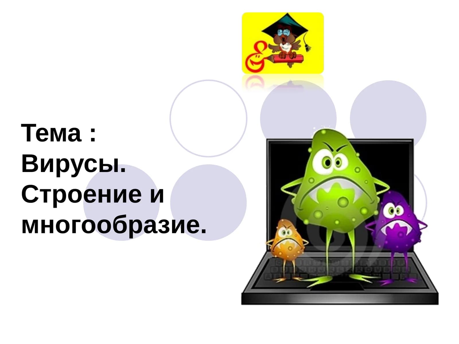 Вирусы.Строение и многообразие