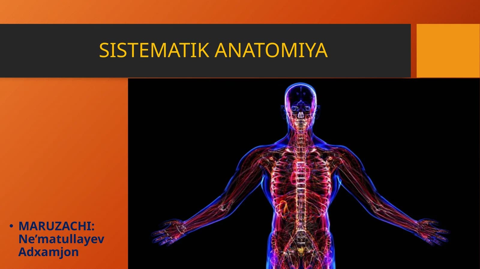 SISTEMATIK ANATOMIYA