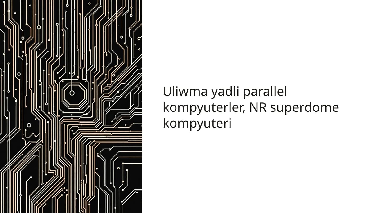 Uliwma yadli parallel kompyuterler, NR superdome kompyuteri