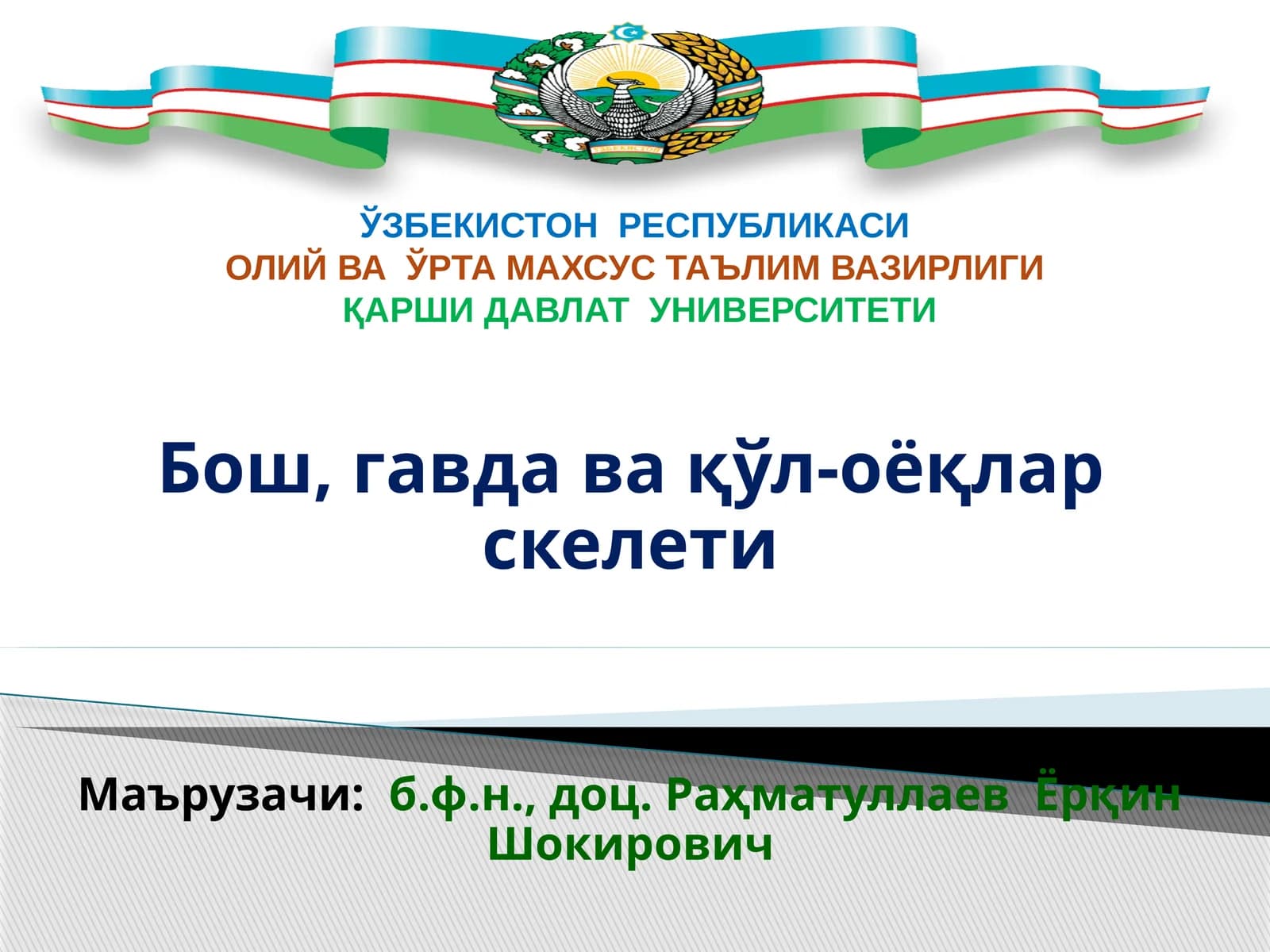 Бош, гавда ва қўл-оёқлар скелети