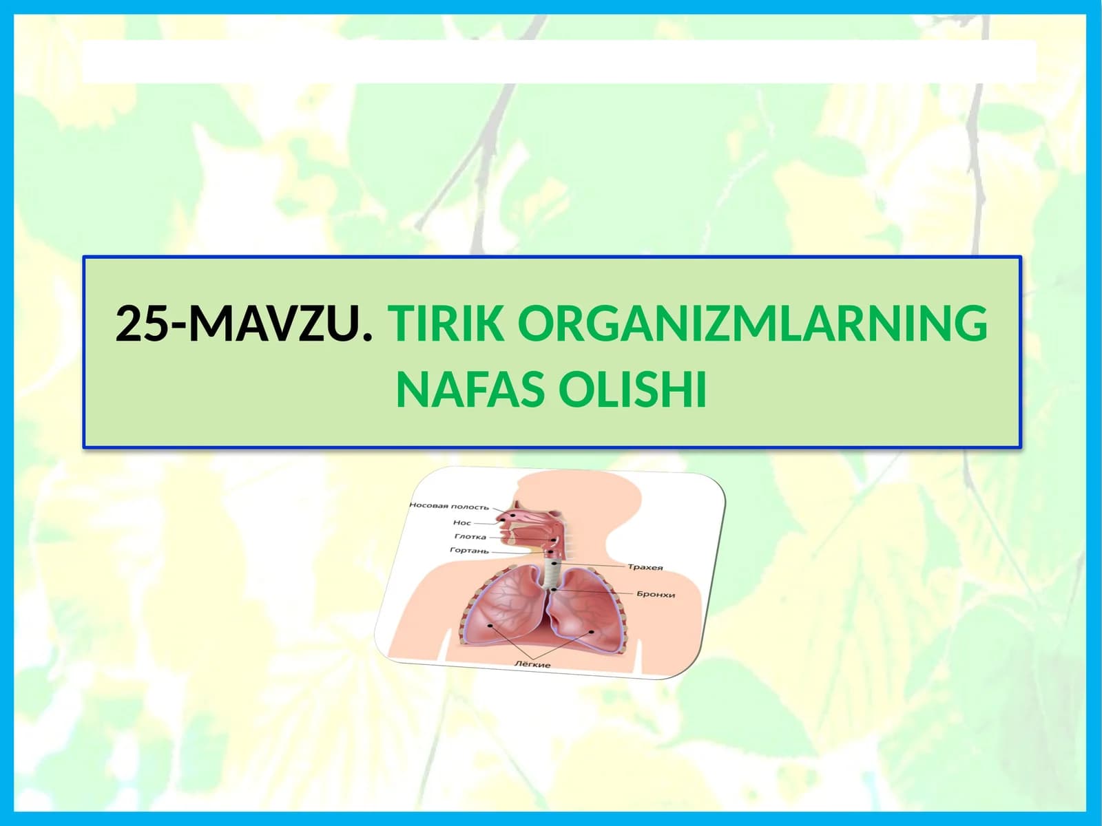 TIRIK ORGANIZMLARNING NAFAS OLISHI