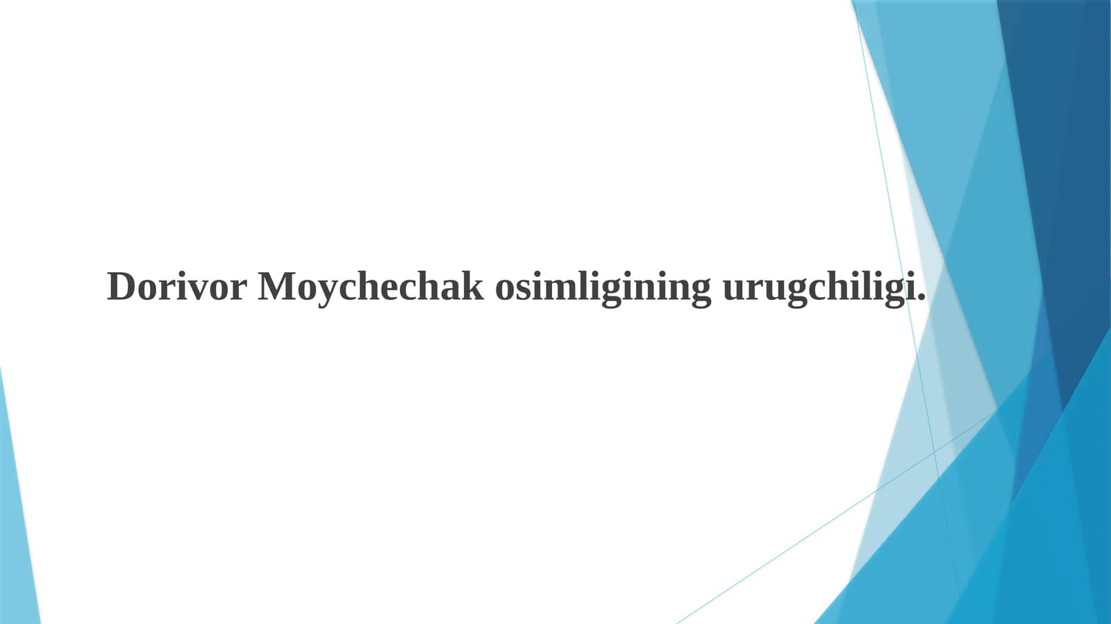 Dorivor moychechak