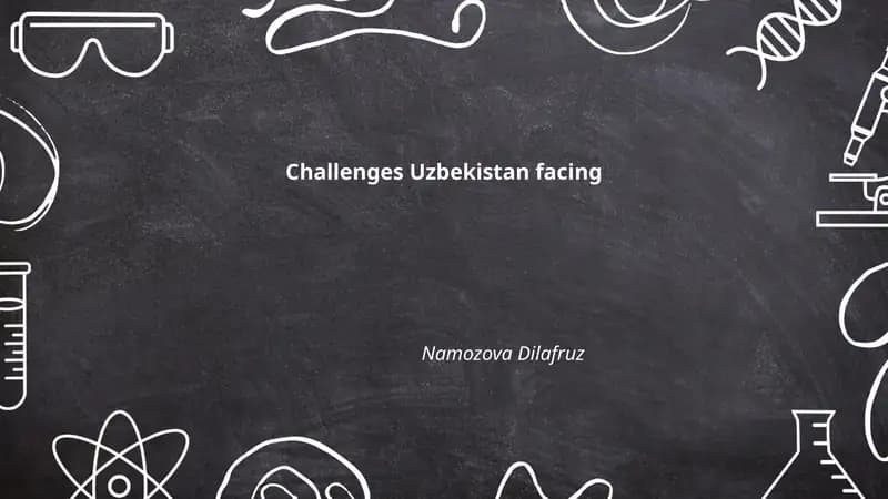 Challenges Uzbekistan facing