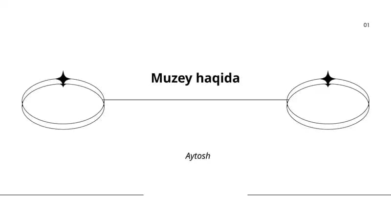 Muzeyning tarixi va tashkil etilishi