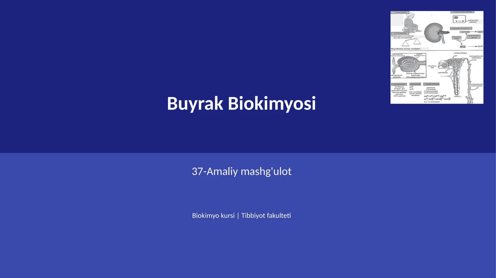 Buyrak Biokimyosi
