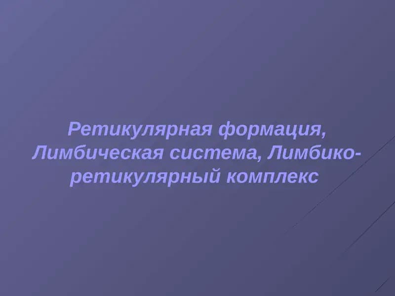Ретикулярная формация