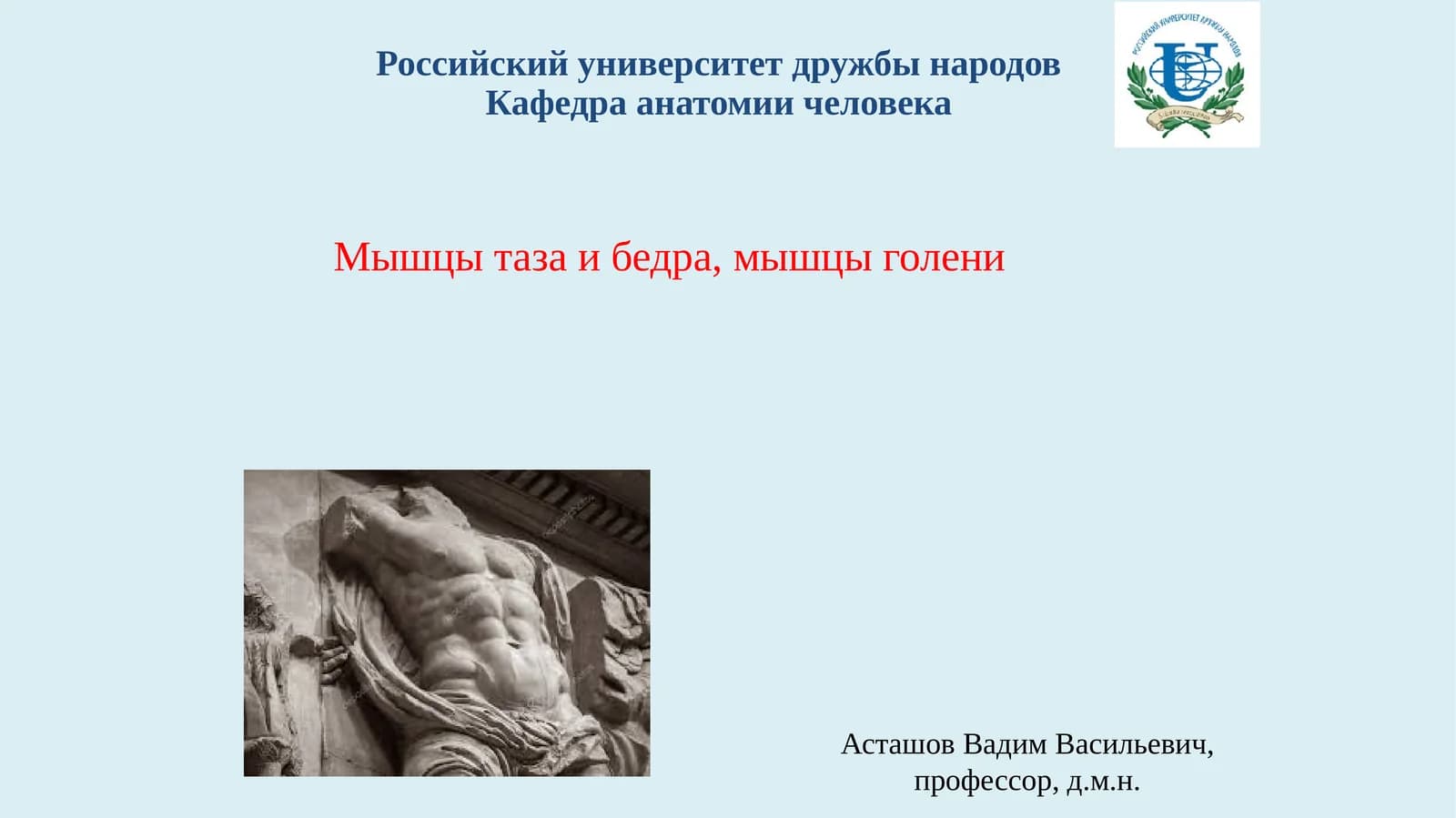 МЫШЦЫ, ДЕЙСТВУЮЩИЕ НА ТАЗОБЕДРЕННЫЙ СУСТАВ