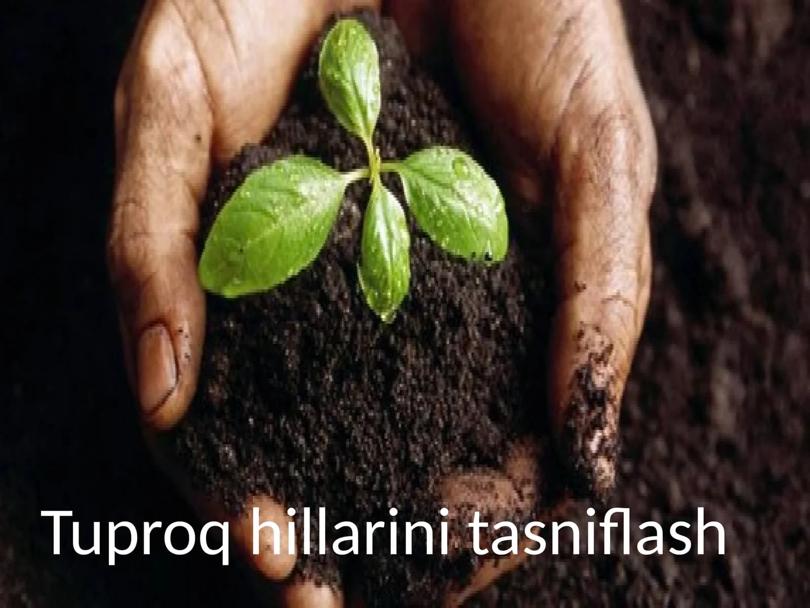 Tuproqhillarinitasniflash
