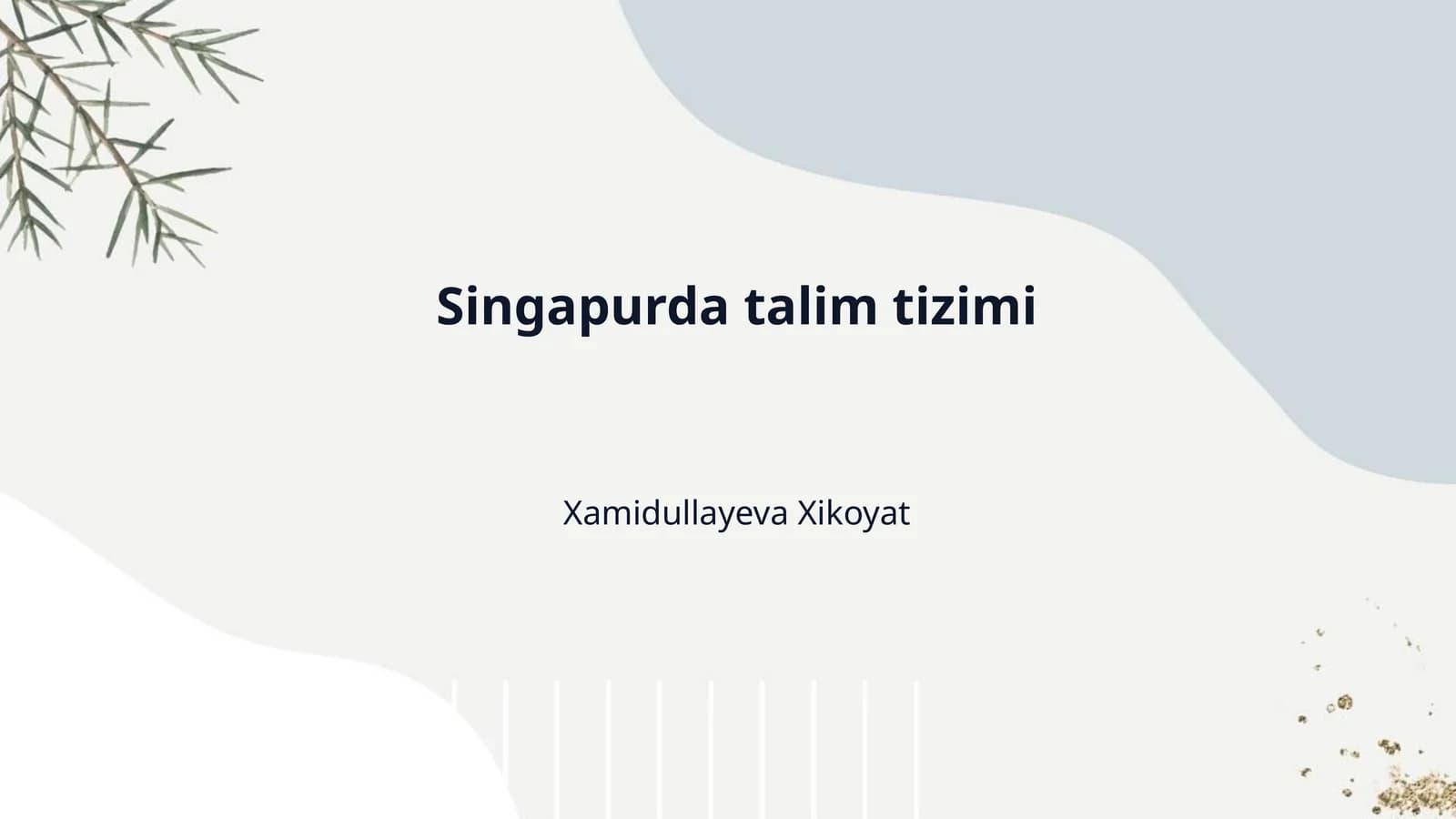 Singapurda talim tizimi