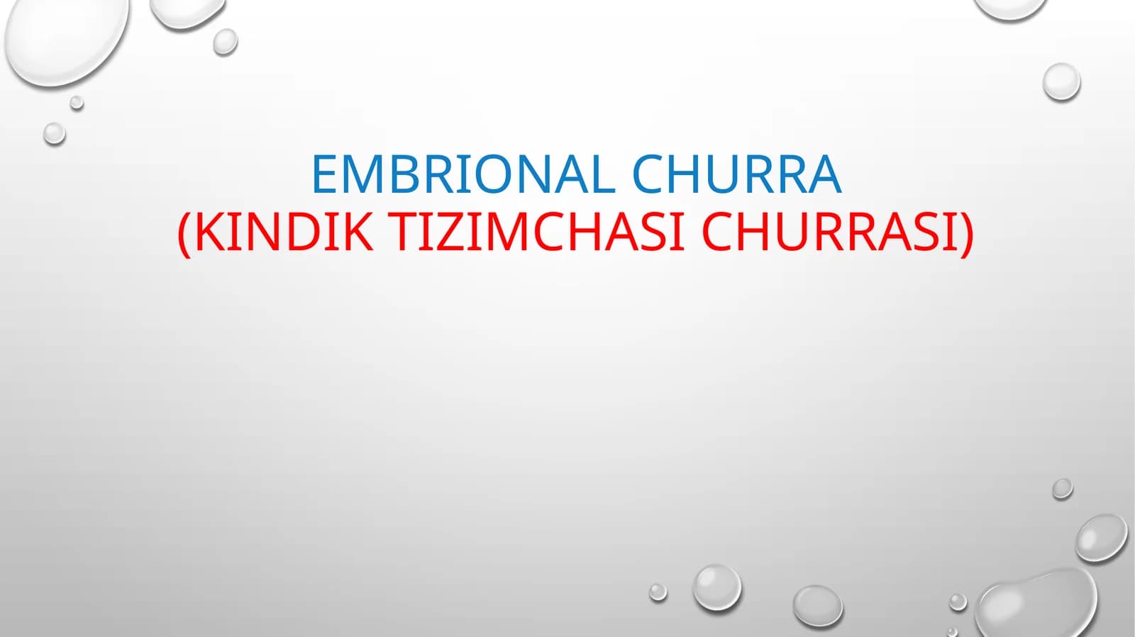 EMBRIONAL CHURRA(KINDIK TIZIMCHASI CHURRASI)