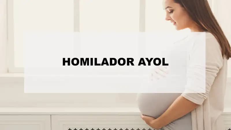 Homilador Ayol