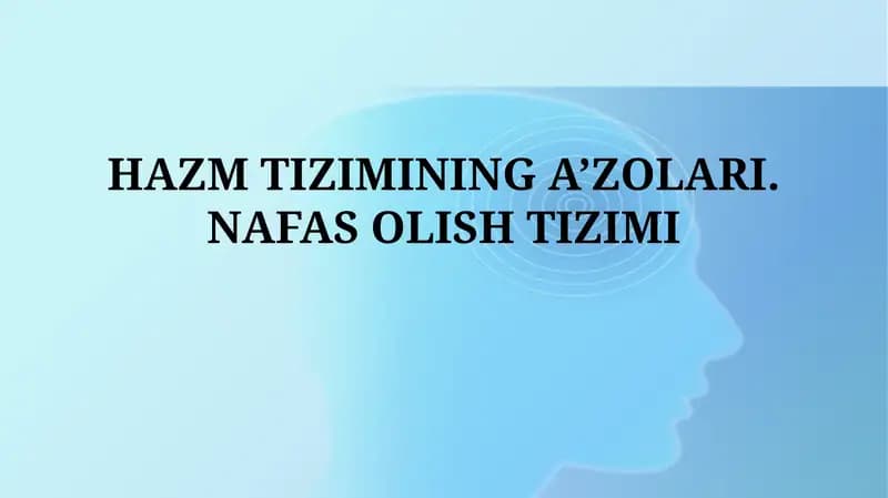 Hazm tizimining a'zolari