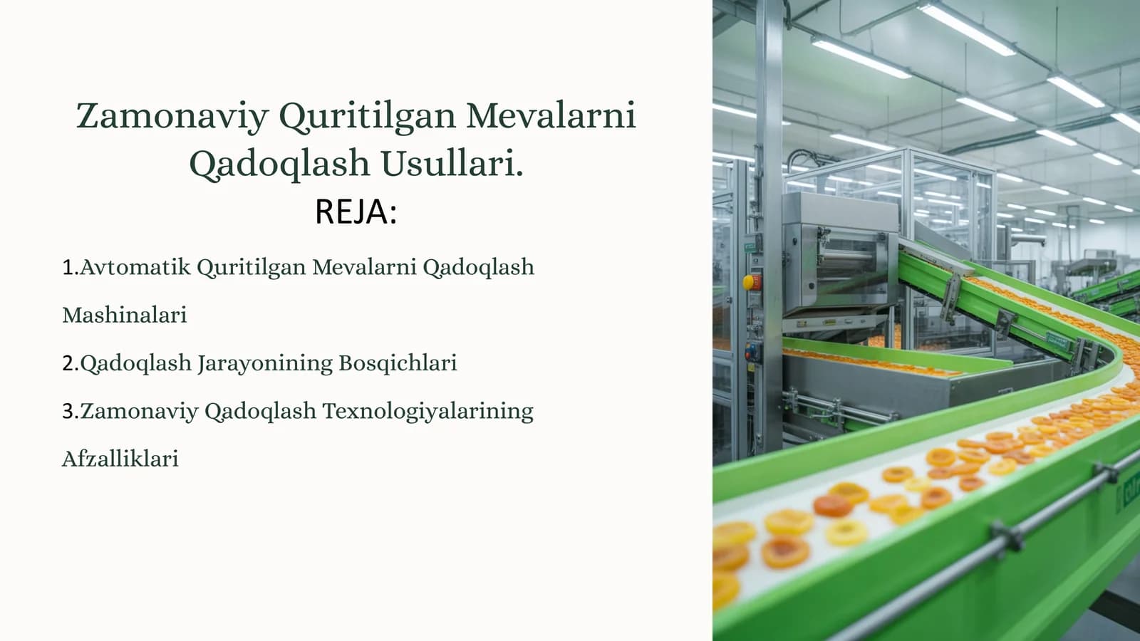 Zamonaviy Quritilgan Mevalarni Qadoqlash Usullari
