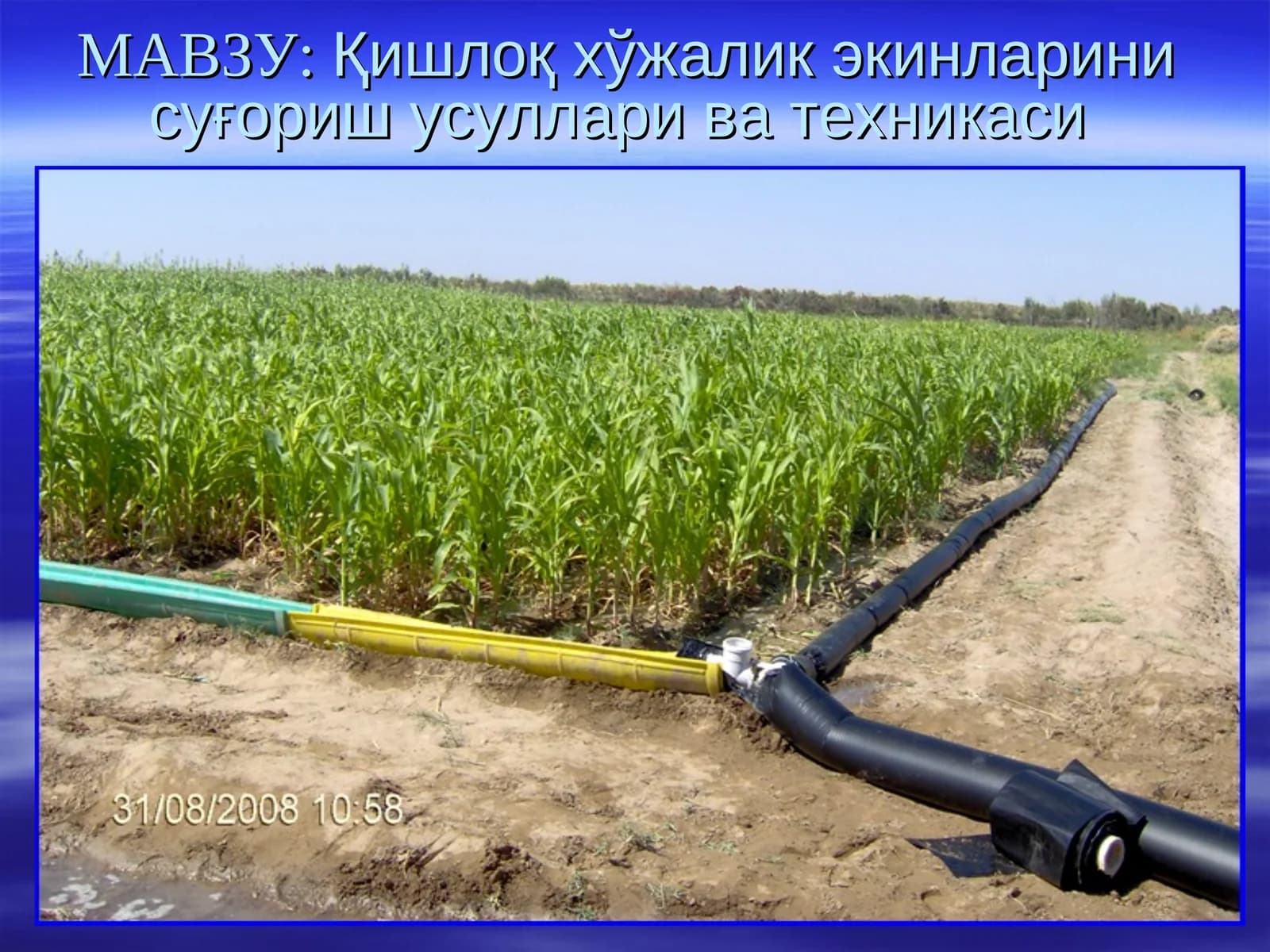 Қишлоқ хўжалик экинларини суғориш усуллари ва техникаси