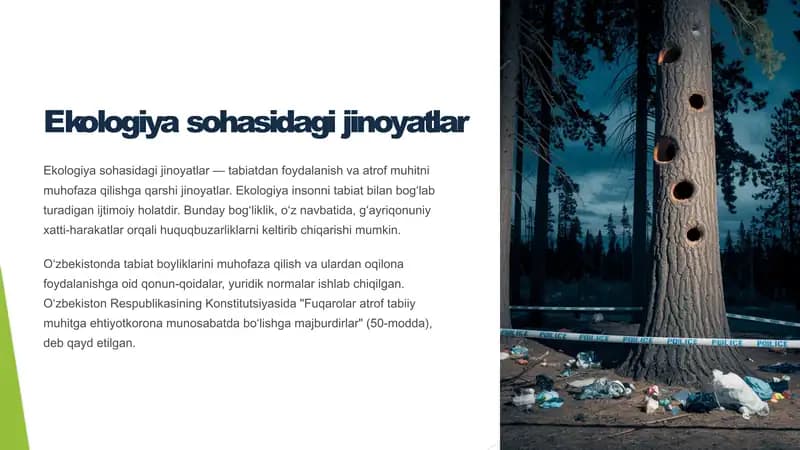 Ekologiya sohasidagi jinoyatlar