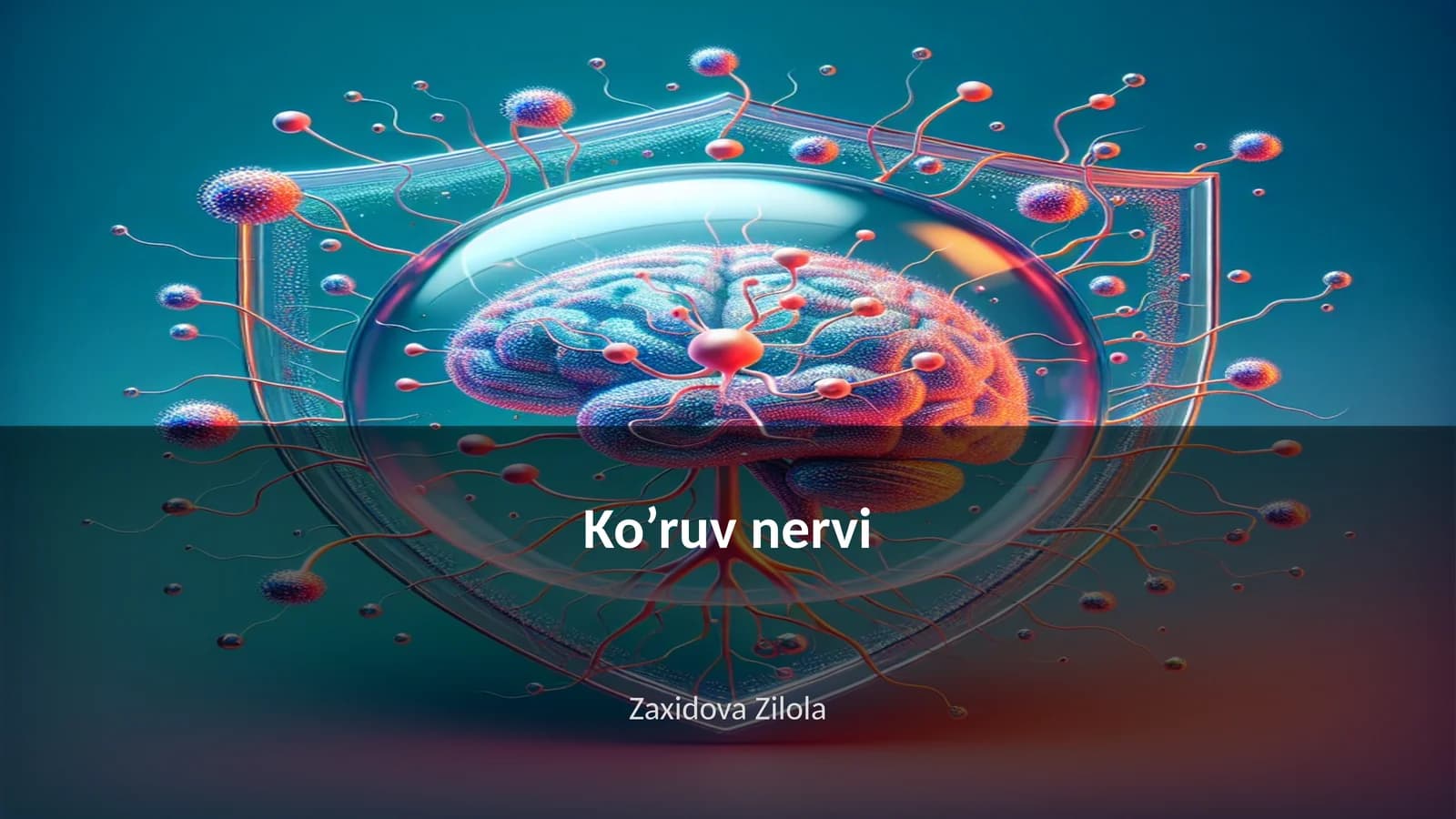 Ko’ruv nervi