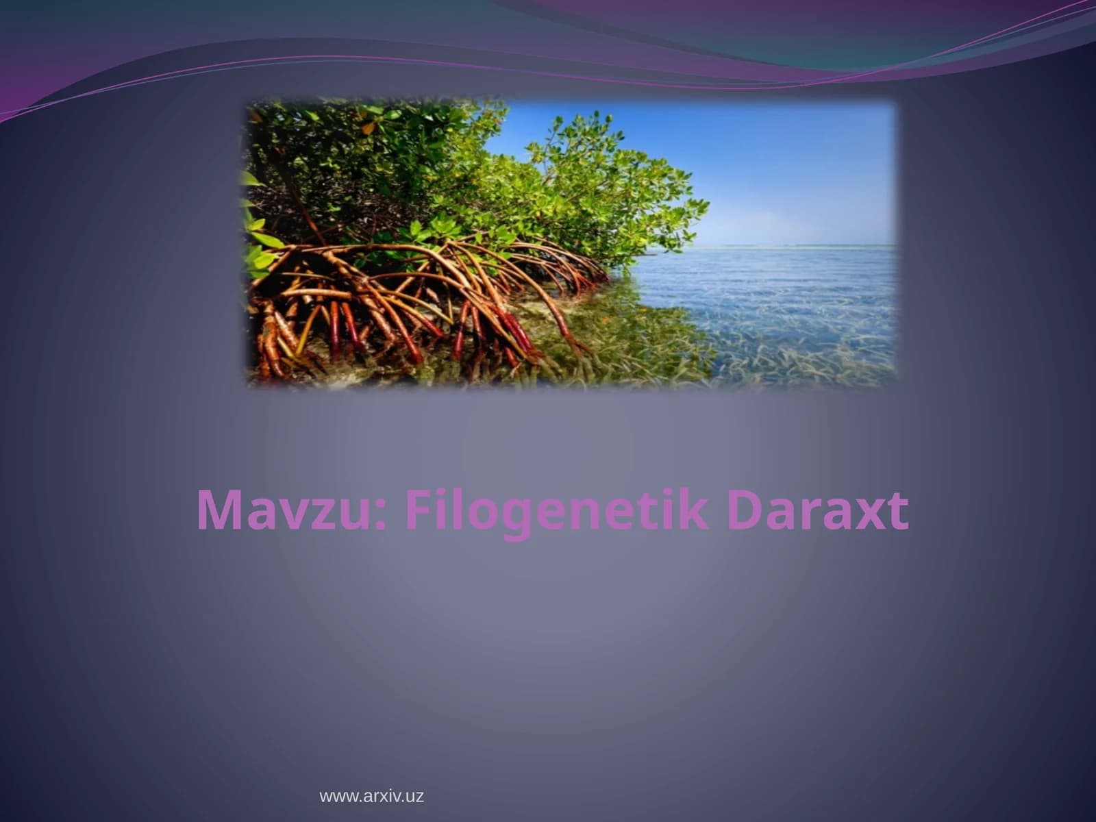 Filogenetik daraxt