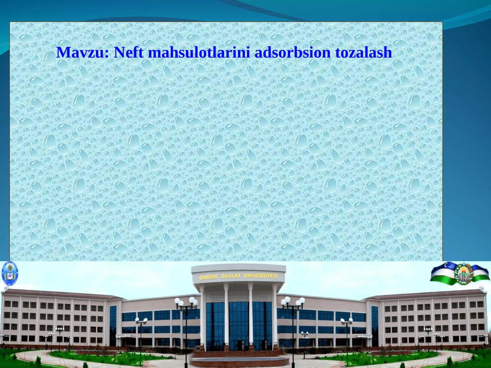 Neft mahsulotlarini adsorbsion tozalash