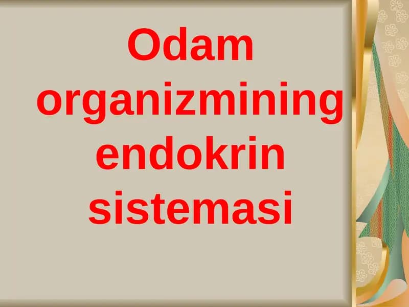 Odam organizmining endokrin sistemasi