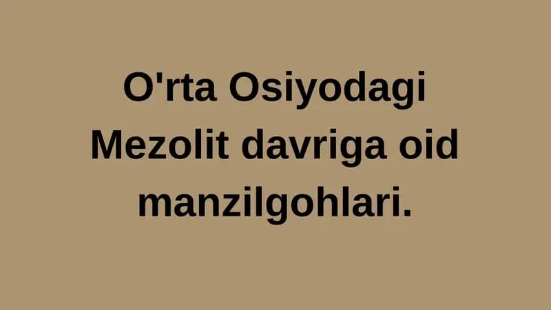 Mezolit davriga oid manzilgohlari