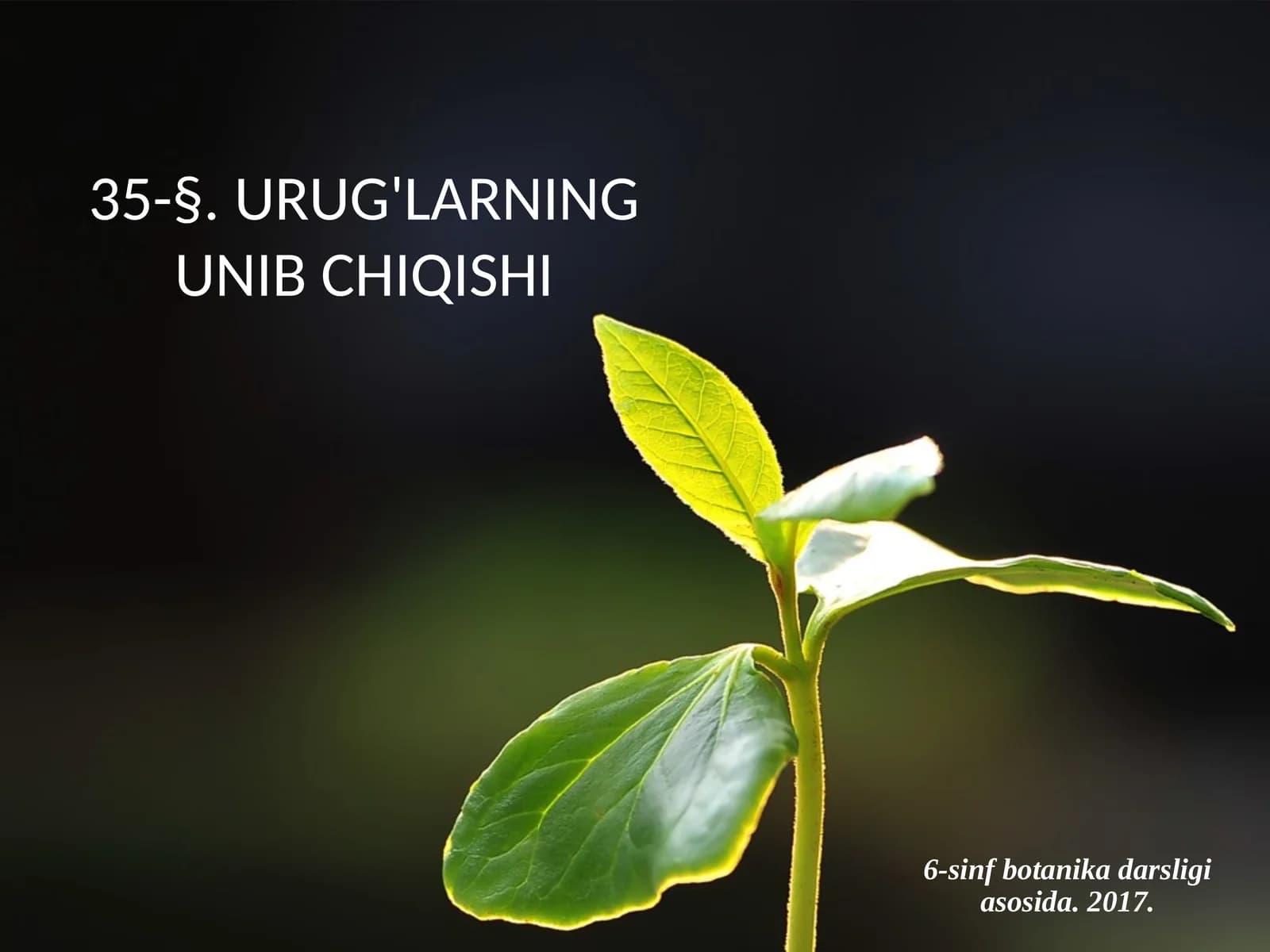 6-sinf Botanika Urug'larning unib chiqishi