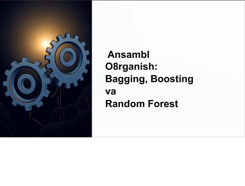 Ansambl O'rganish