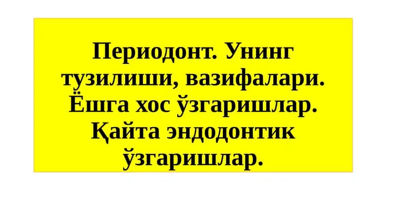 Периодонт