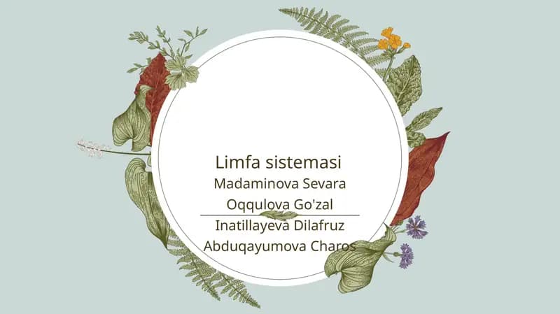 Limfa sistemasi