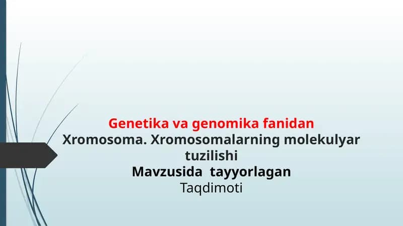 Xromosoma. Xromosomalarning molekulyar tuzilishi