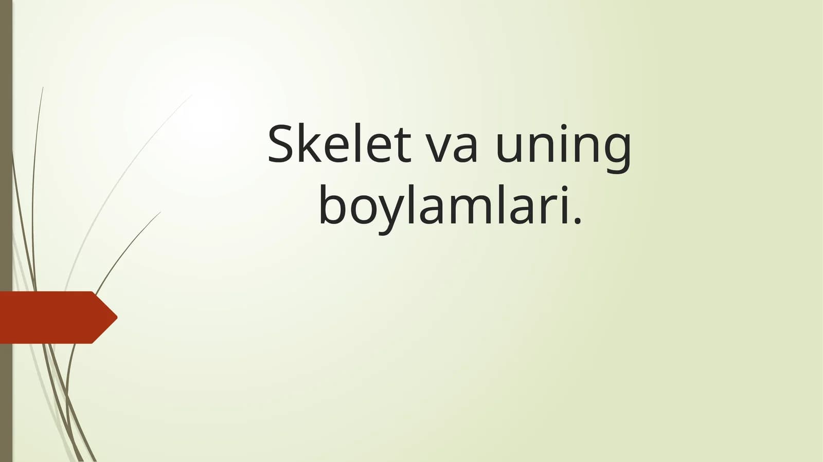 Skelet vauning boylamlari