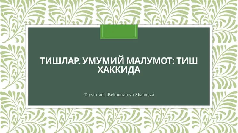 Тишларнинг анатомияси ва физиологияси
