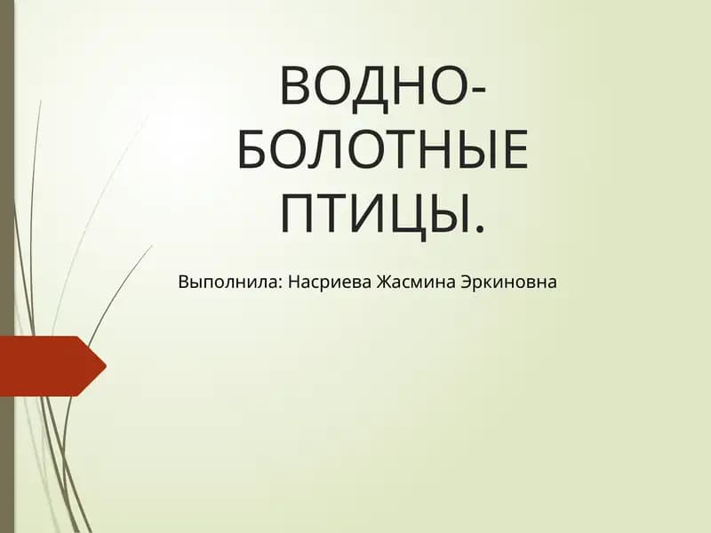ВОДНО-БОЛОТНЫЕ ПТИЦЫ