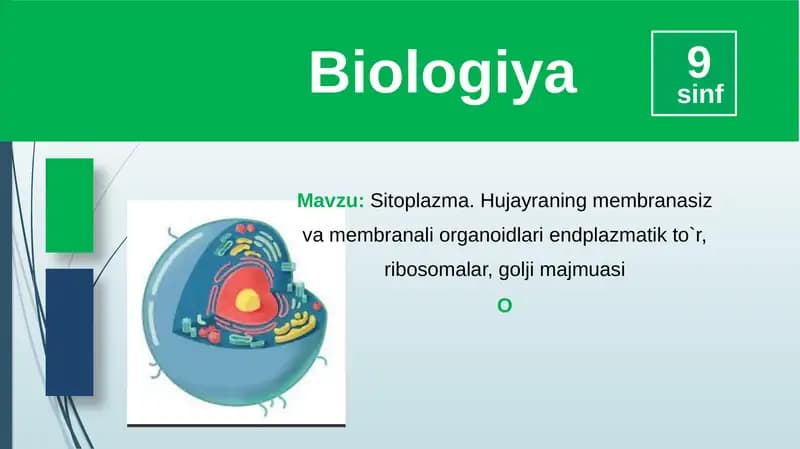 Sitoplazma